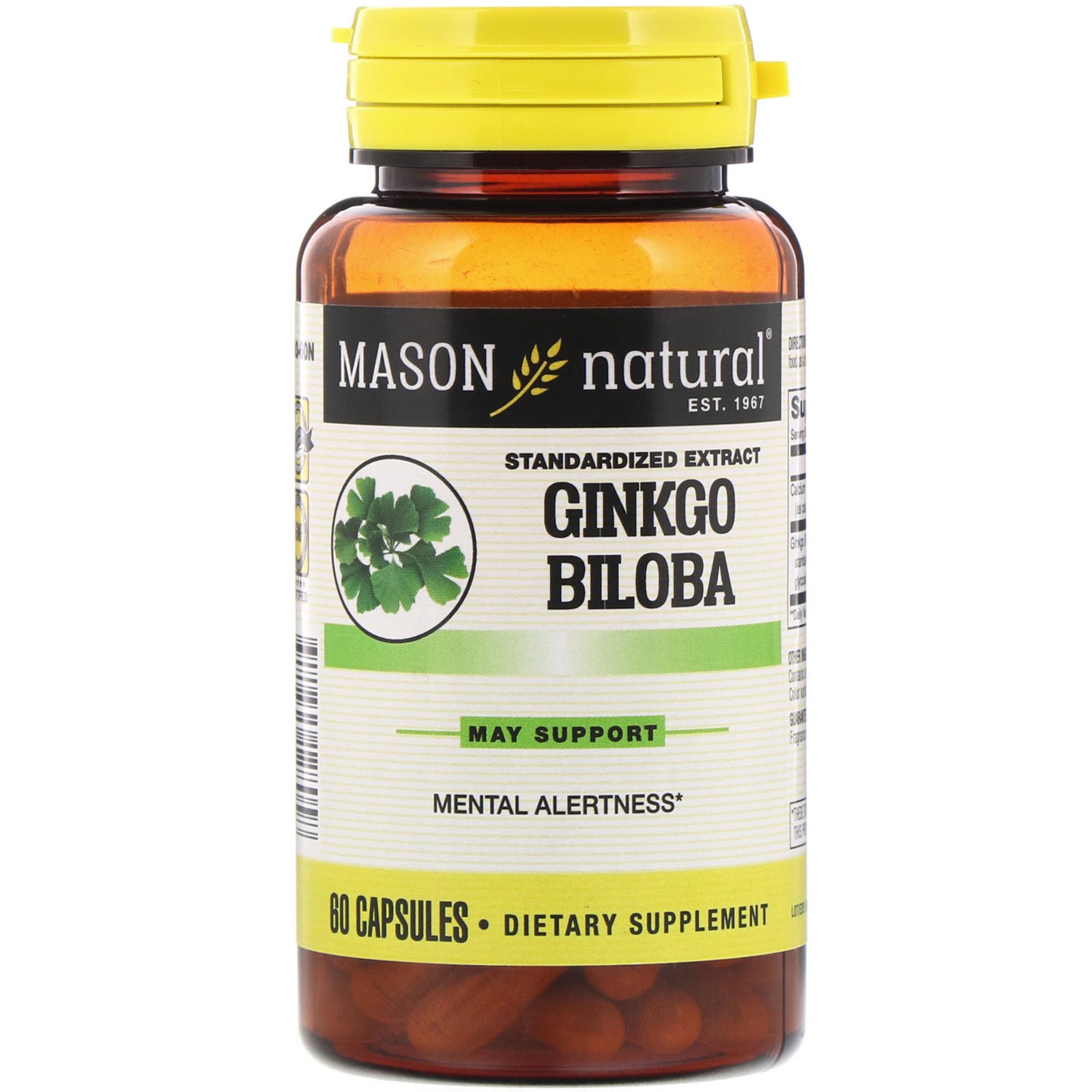 Mason Natural, Ginkgo Biloba, 60 Cápsulas