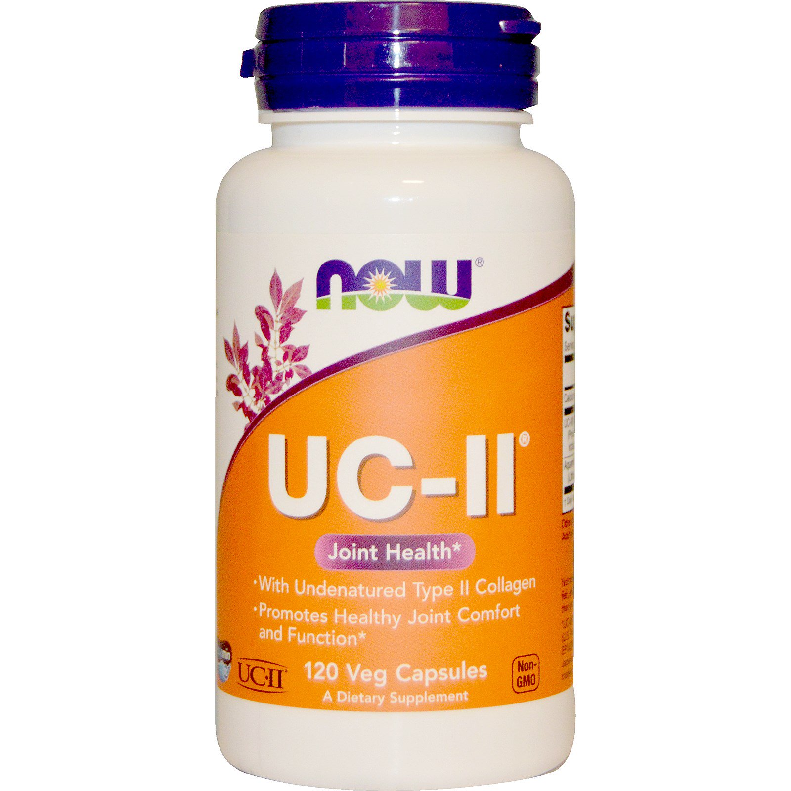 Now Foods, Saúde das articulações UC-II, Colágeno Tipo II Não Desnaturado, 120 Cápsulas Vegetais