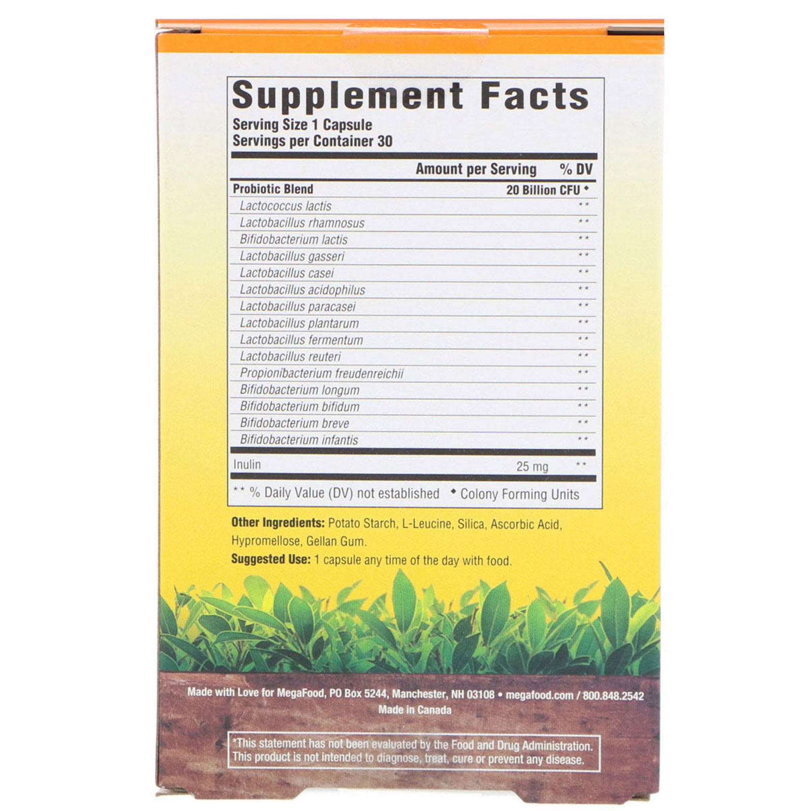 MegaFood, Probiotic Supplement, Immune Defense, 30 Capsules - Imagem 2