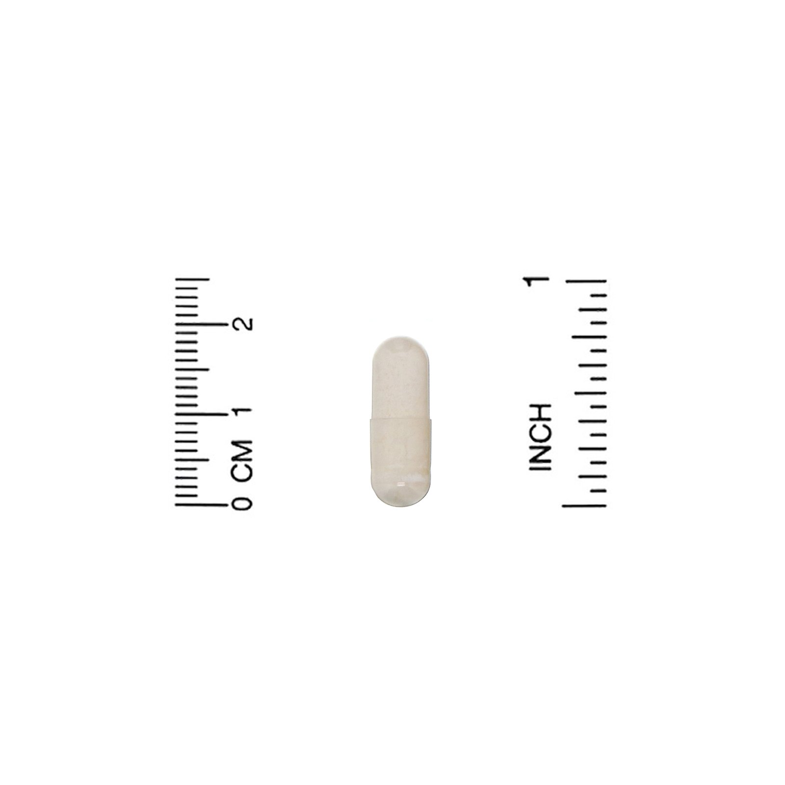 Lake Avenue Nutrition, Serrapeptase, Enzima Proteolítica, 40.000 SPUs, 30 Cápsulas Vegetais - Imagem 3