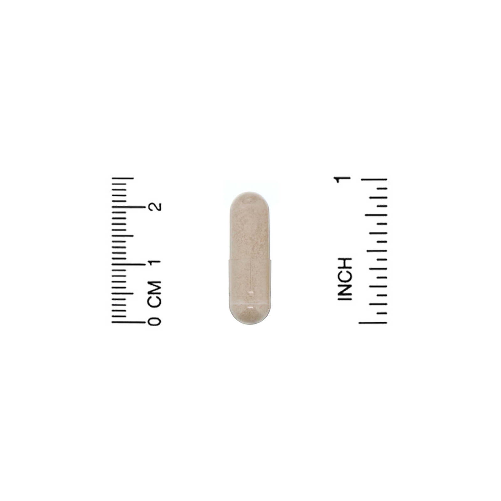 Lake Avenue Nutrition, Saccharomyces Boulardii, Levedura probiótica, 10 bilhões de UFCs, 60 cápsulas vegetais - Imagem 3