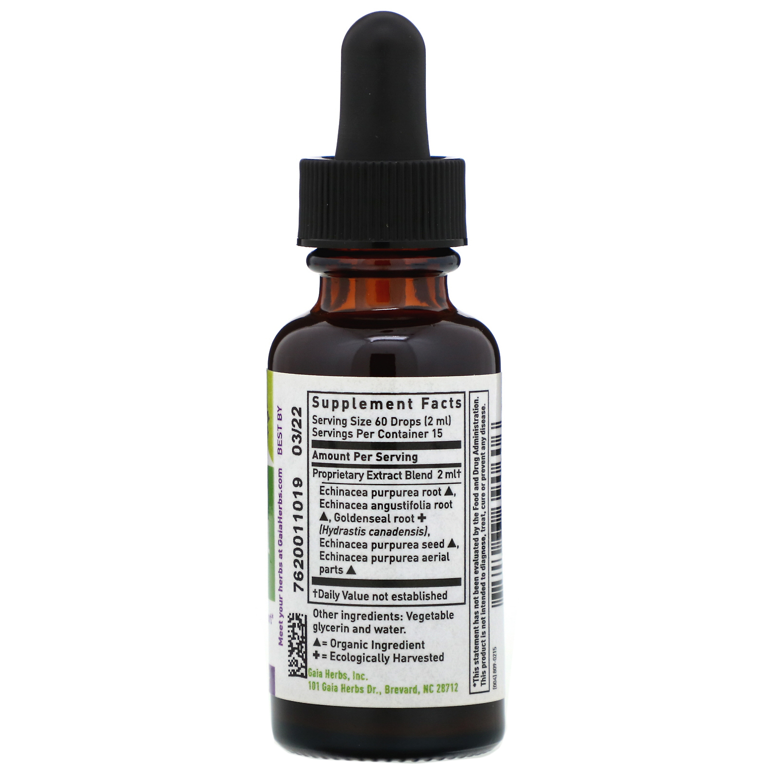 Gaia Herbs, Kids, Echinacea Goldenseal Herbal Drops, Fórmula Sem Álcool, 30 ml (1 fl oz) - Imagem 2