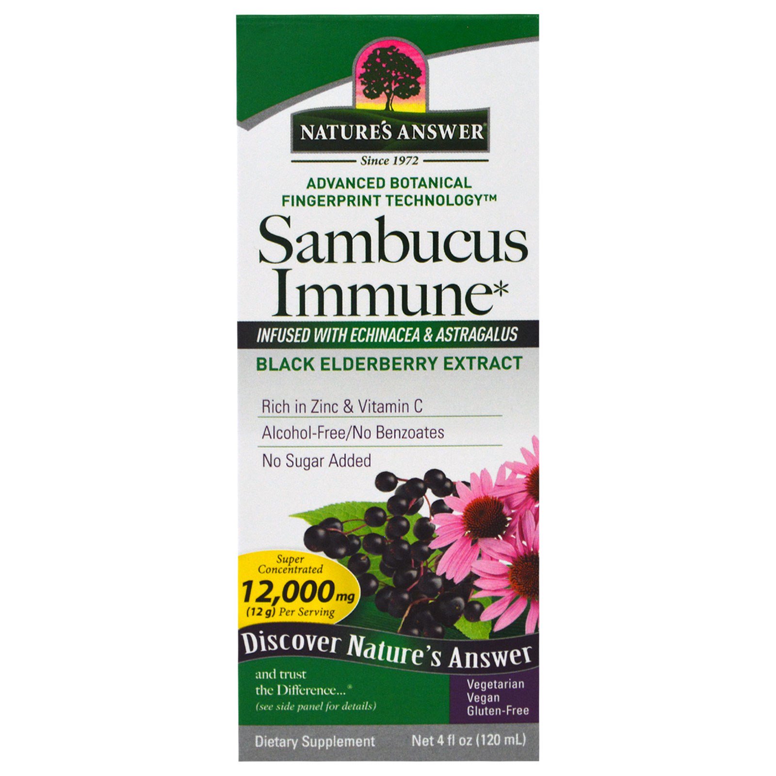 Nature's Answer, Sambucus para o Sistema Imune, Sambucus nigra, 5000 mg, 4 fl oz (120 ml)