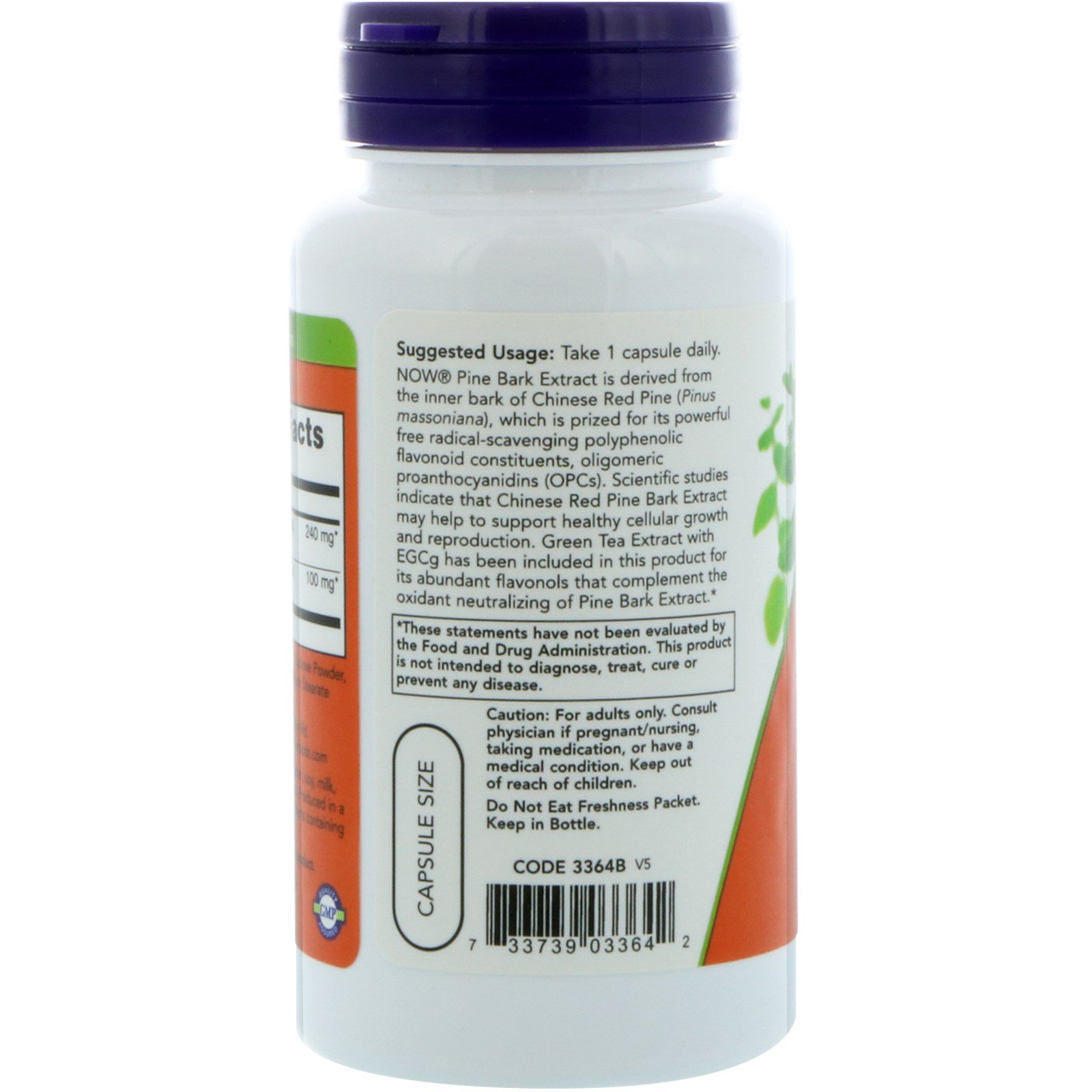 Now Foods, Extrato de Casca de Pinho, 240 mg, 90 Cápsulas Vegetarianas - Imagem 3