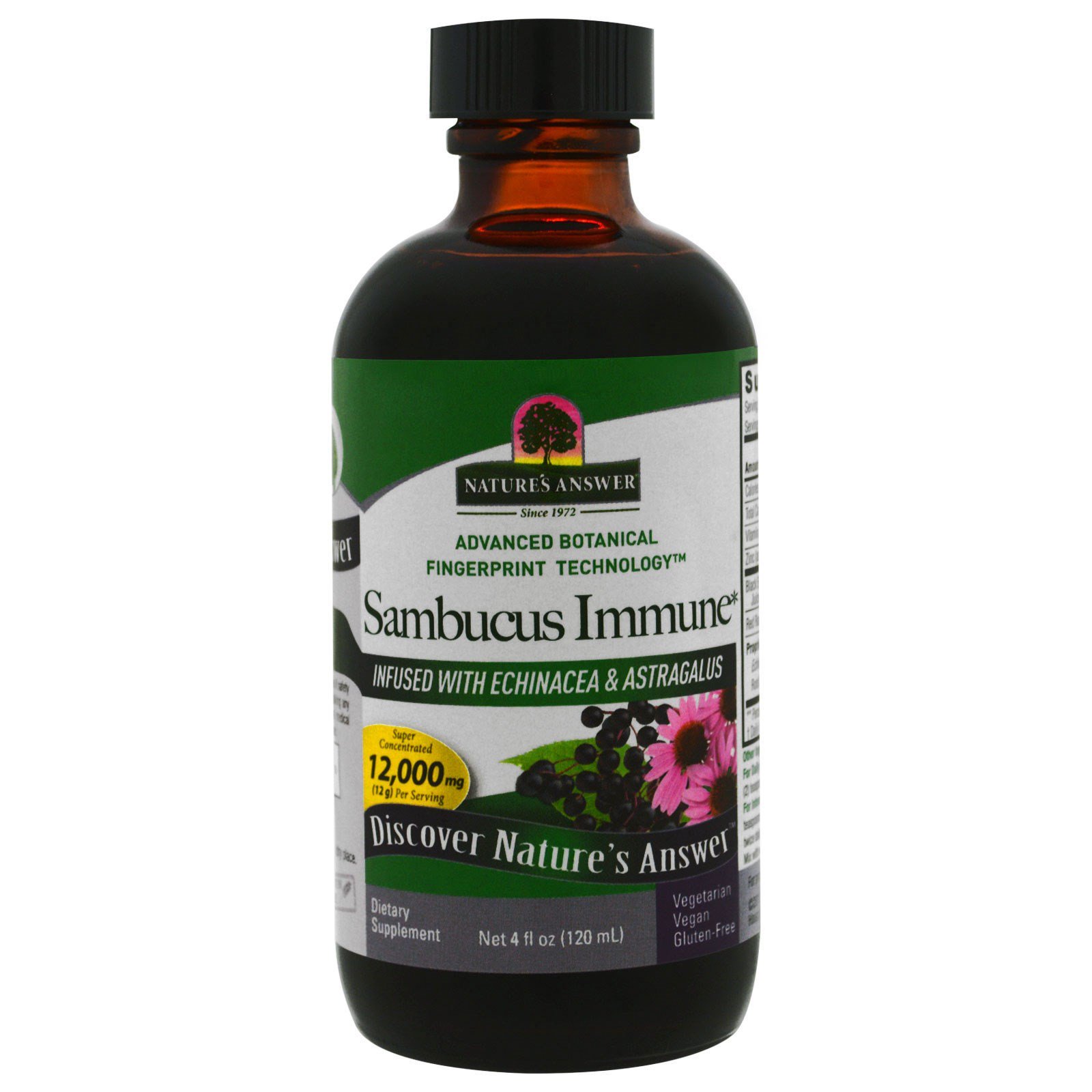 Nature's Answer, Sambucus para o Sistema Imune, Sambucus nigra, 5000 mg, 4 fl oz (120 ml) - Imagem 3