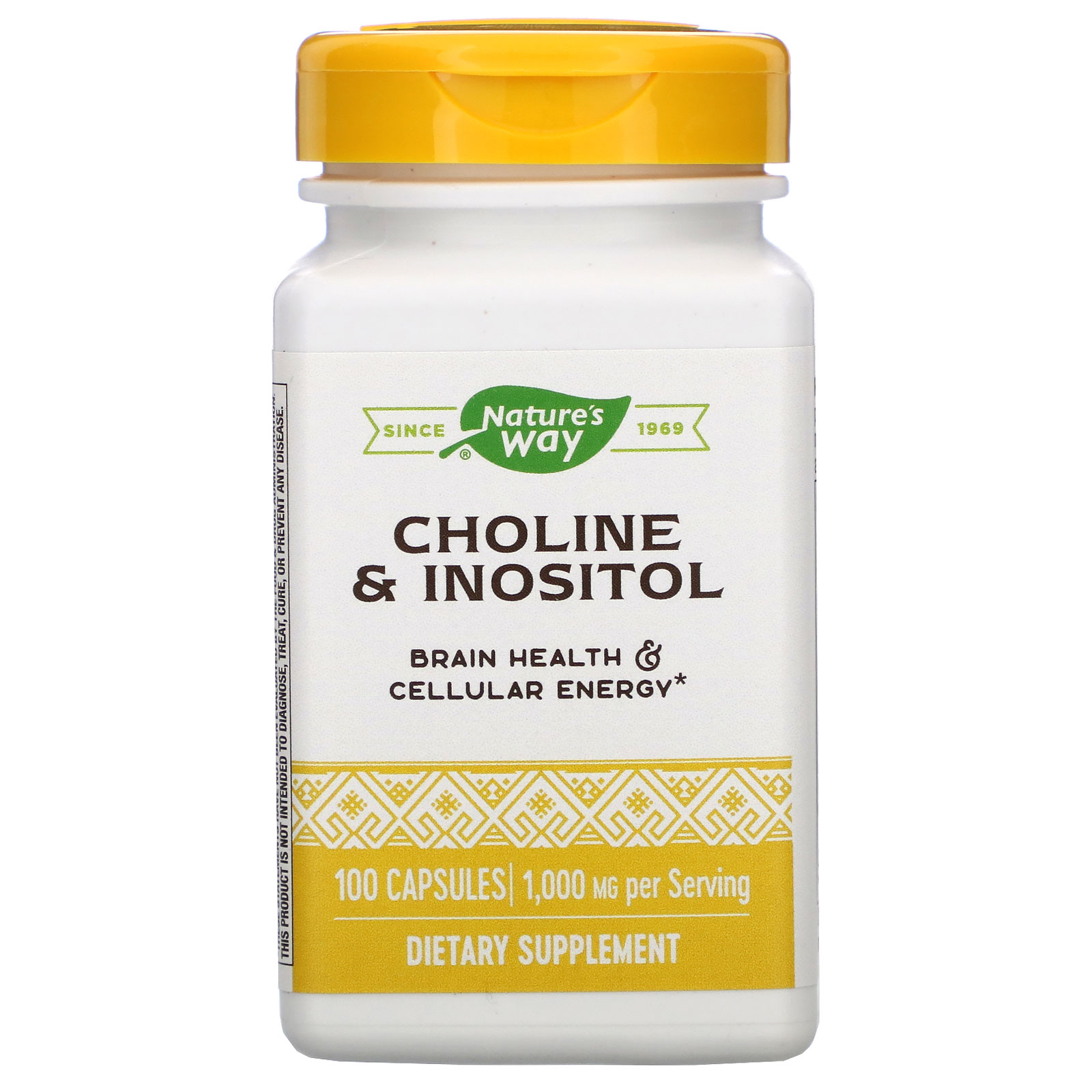 Nature's Way, Colina e Inositol, 500 mg, 100 Cápsulas