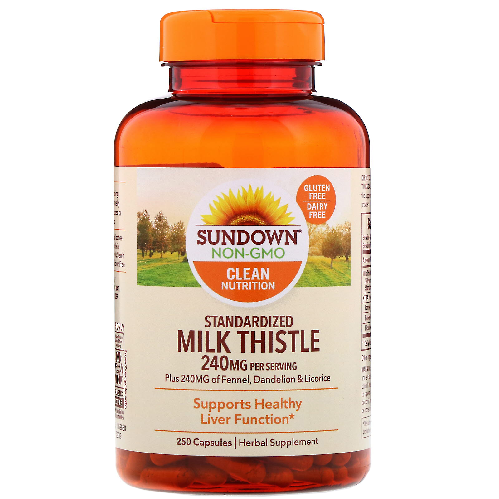 Sundown Naturals, Cardo Mariano Padronizado, 240 mg, 250 Cápsulas