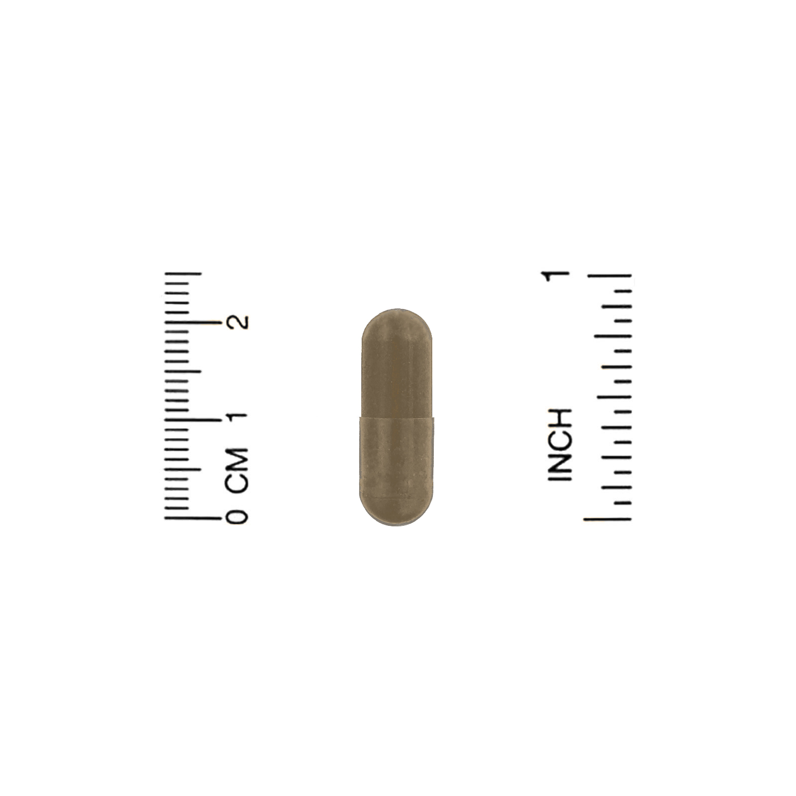 Life Extension, Immune Modulator with Tinofend, 60 Cápsulas Vegetarianas - Imagem 3