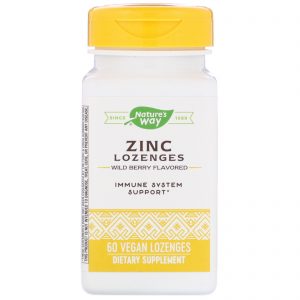 Comprar nature's way, zinc lozenges, wild berry flavored, 60 vegan lozenges preço no brasil vitaminas e minerais zinco suplemento importado loja 179 online promoção -