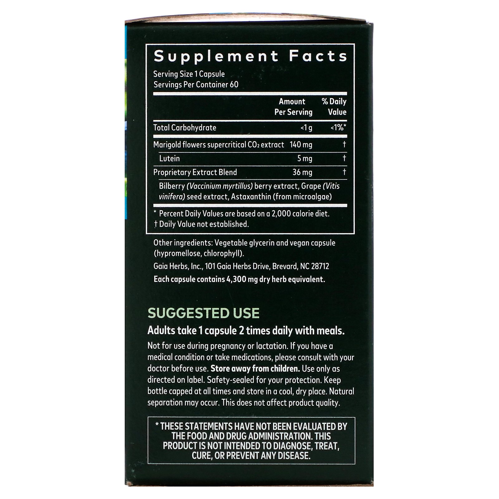 Gaia Herbs, Healthy Vision, 60 Vegan Liquid Phyto-Caps - Imagem 2