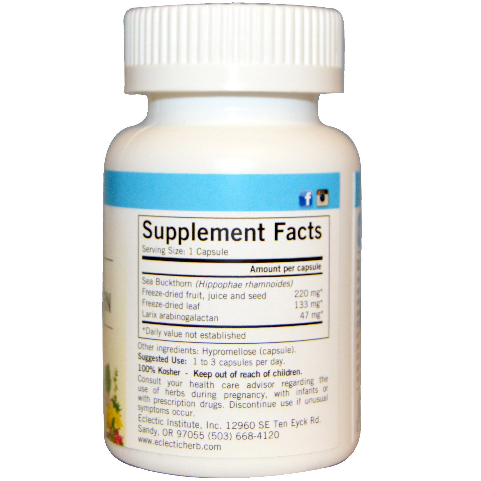 Eclectic Institute, Sea Buckthorn, 400 mg, 90 Non-GMO Veg Caps - Imagem 2