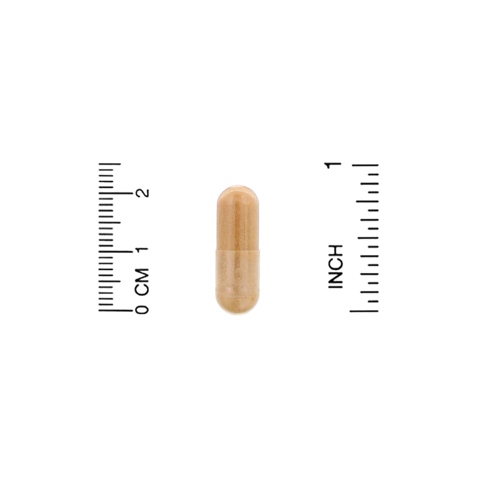 Organic India, Ceylon Cinnamon, 90 Vegetarian Caps - Imagem 3