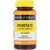 Comprar mason natural, complexo para terapia da próstata, 60 cápsulas gelatinosas preço no brasil marcas a-z mason natural men's health próstata suplementos suplemento importado loja 1 online promoção -