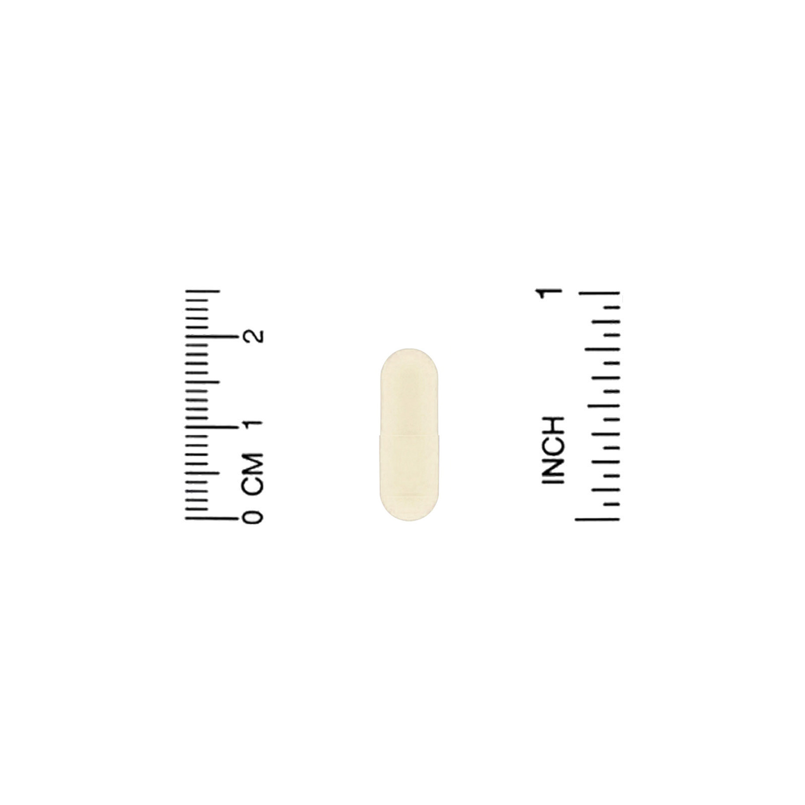Kyolic, Kyo-Dophilus, Enzyme+ Probiotic, 2 Billion CFU, 120 Capsules - Imagem 4