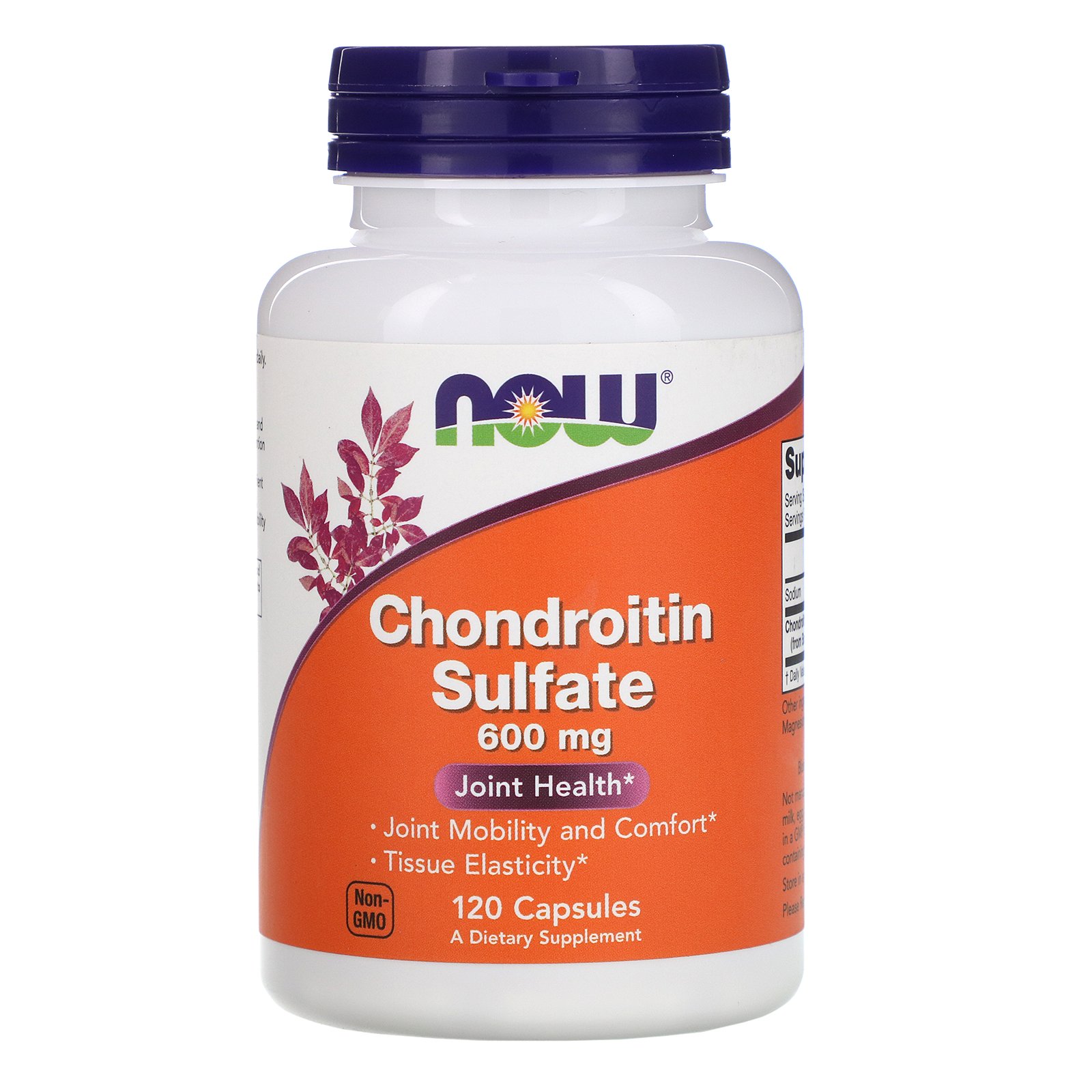 Now Foods, Sulfato de Condroitina, 600 mg, 120 Cápsulas
