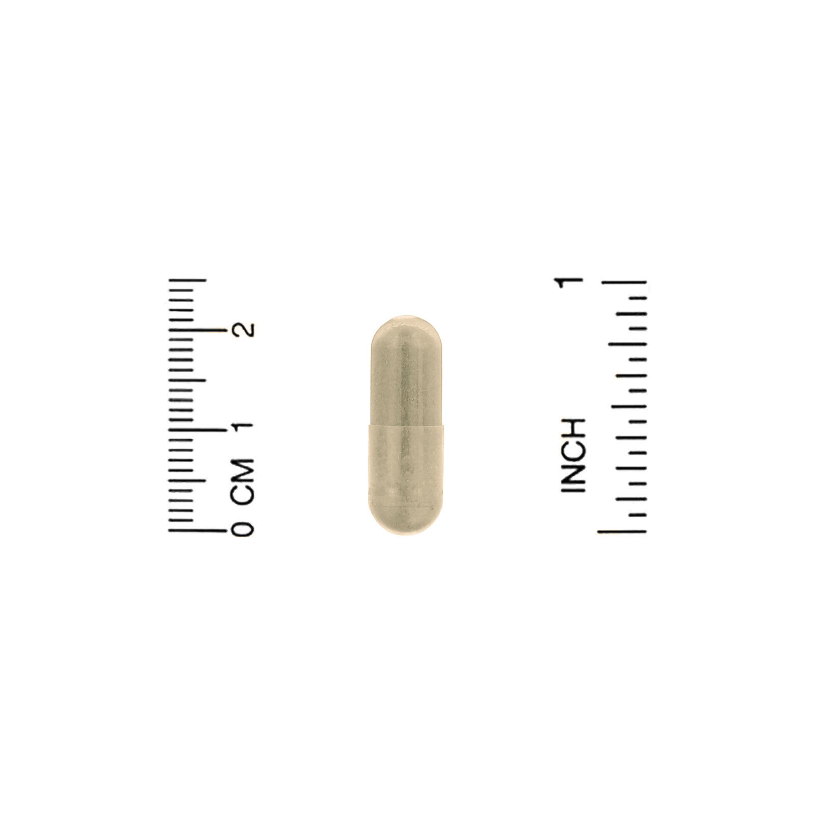 Organic India, Memory, 90 Vegetarian Caps - Imagem 3