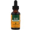 Comprar herb pharm, olive , 1 fl oz (30 ml) preço no brasil ervas ervas e homeopatia folha de oliva herb pharm marcas a-z suplemento importado loja 1 online promoção -