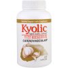 Comprar kyolic, extrato de alho envelhecido, reserva, força extra, 120 cápsulas preço no brasil alho ervas ervas e homeopatia kyolic marcas a-z suplemento importado loja 7 online promoção -