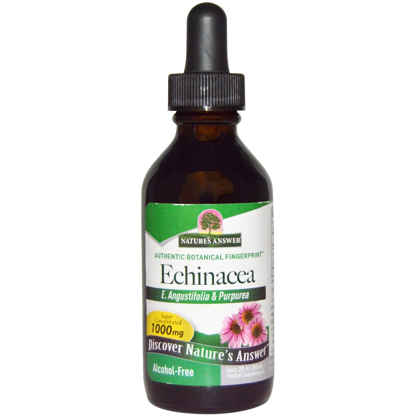 Nature's Answer, Equinácea, Sem Álcool, 1.000 mg, 60 ml (2 oz)