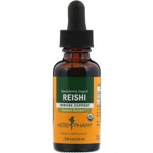 Comprar herb pharm, reishi, 30 ml (1 fl oz) preço no brasil reishi suplementos nutricionais suplemento importado loja 69 online promoção -