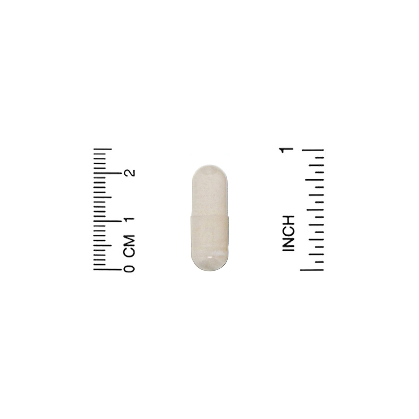 Lake Avenue Nutrition, Sunflower Phosphatidylserine, 100 mg, 120 Veggie Capsules - Imagem 3