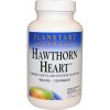 Comprar planetary herbals, hawthorn heart, 900 mg, 120 tabletes preço no brasil coração heart support formulas marcas a-z planetary herbals tópicos de saúde suplemento importado loja 1 online promoção -