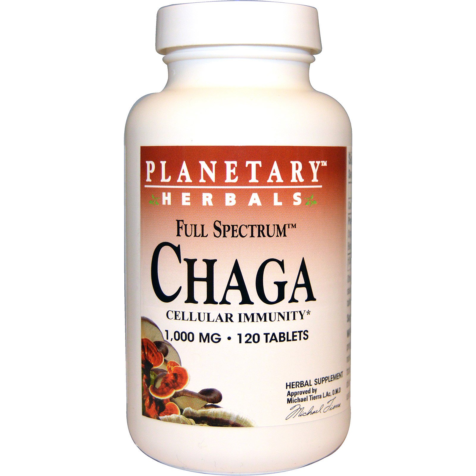 Planetary Herbals, Espectro Completo Chaga, 1.000 mg, 120 Comprimidos