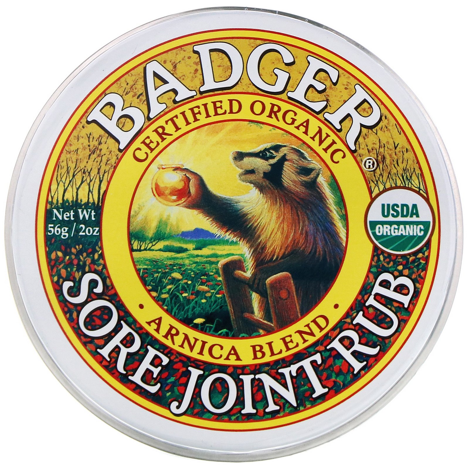 Badger Company, Pomada para Dor nas Articulações, Mistura de Arnica, 56 g (2 oz) - Imagem 3