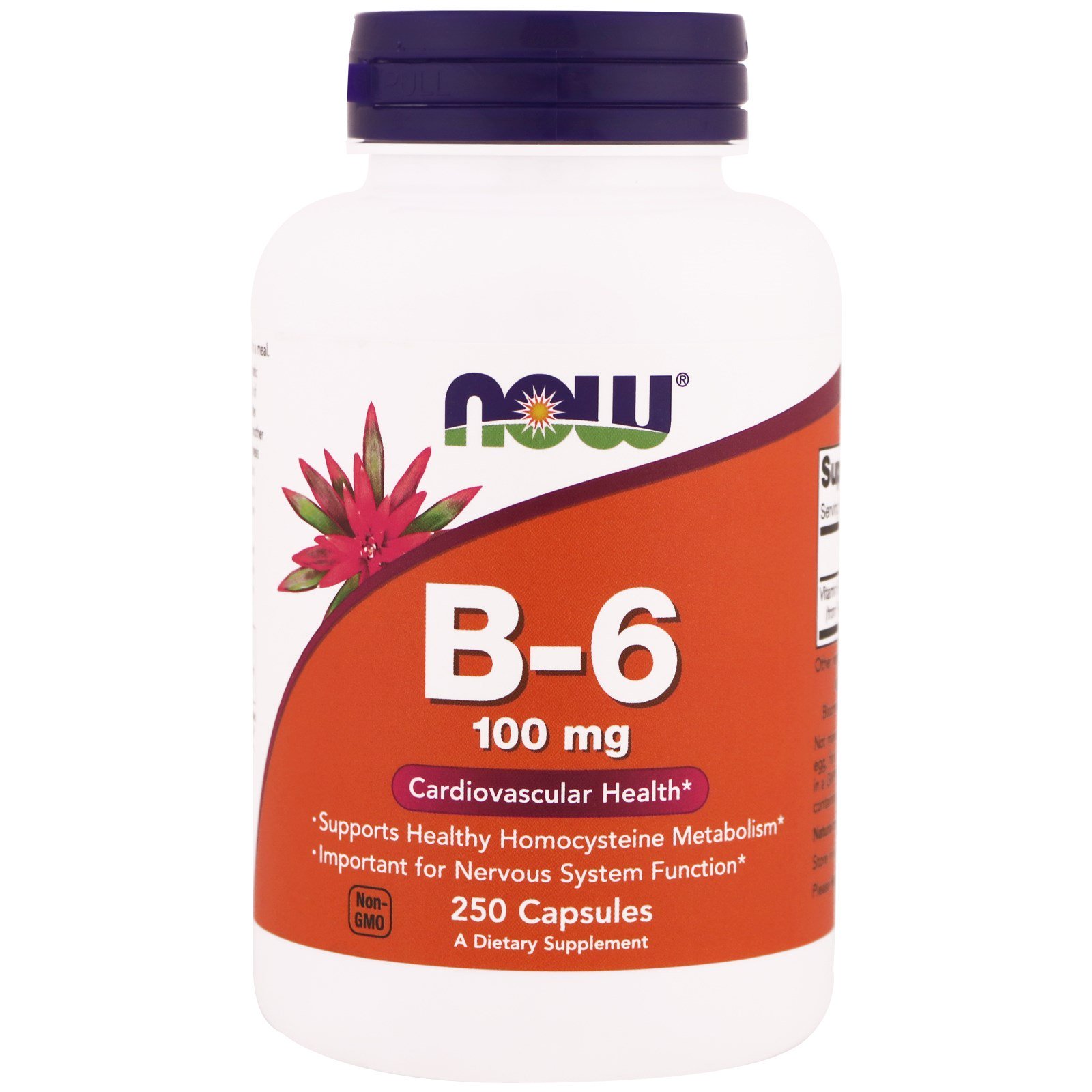 Now Foods, B-6, 100 mg, 250 Cápsulas