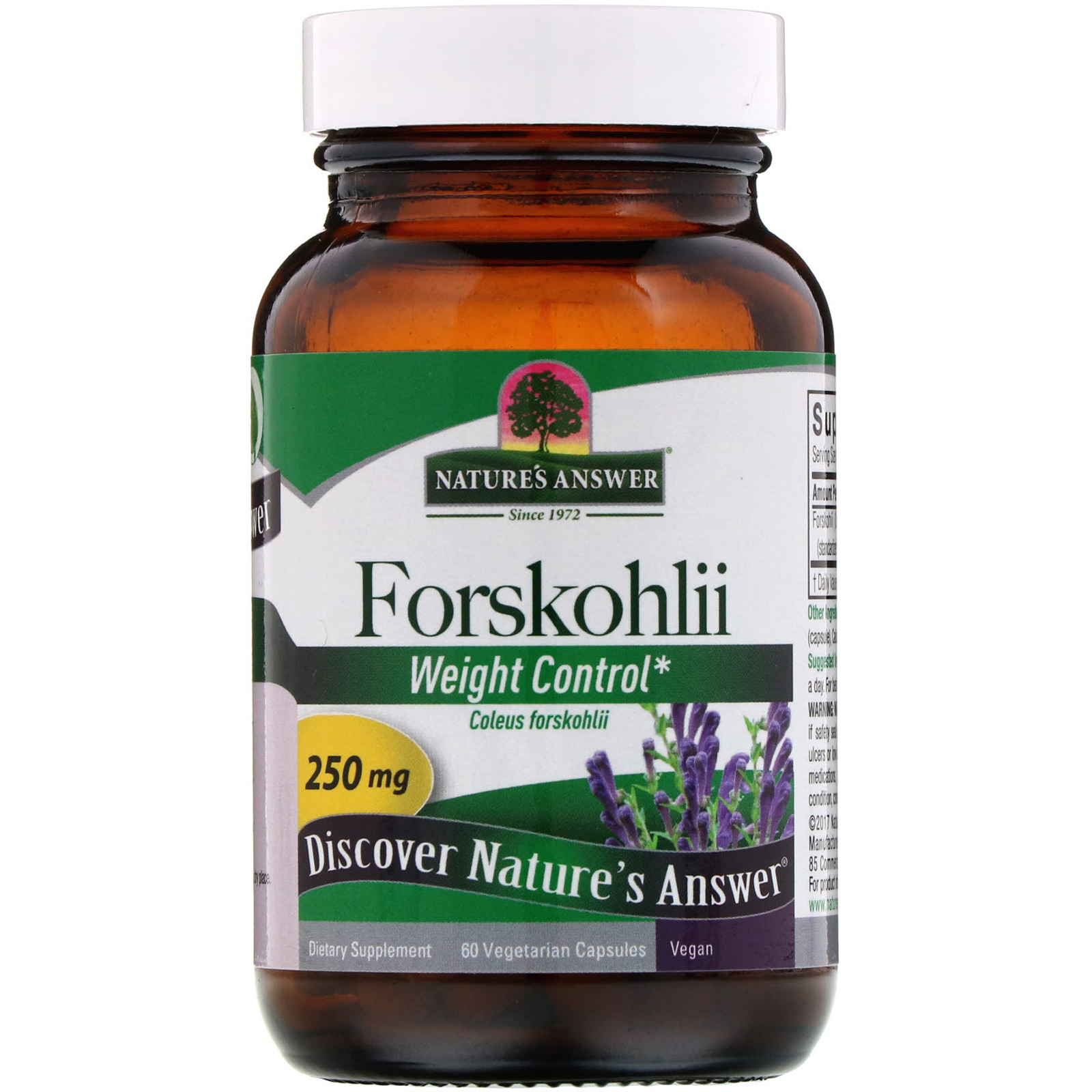 Nature's Answer, Forskohlii, 250 mg, 60 cápsulas vegetais - Imagem 3