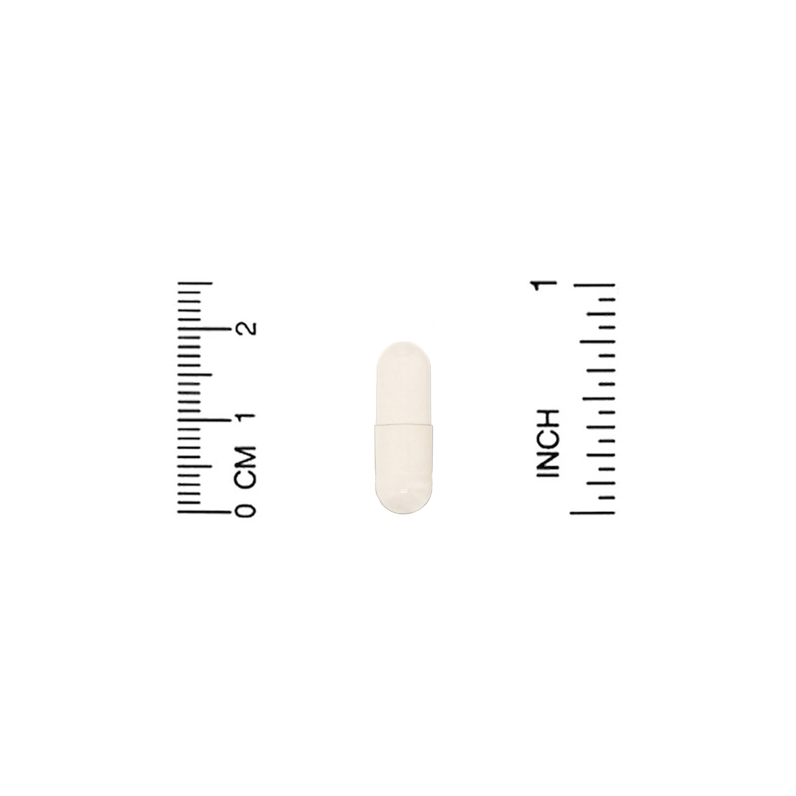 California Gold Nutrition, Epicor para Crianças, 125 mg, 120 Cápsulas Vegetais - Imagem 3