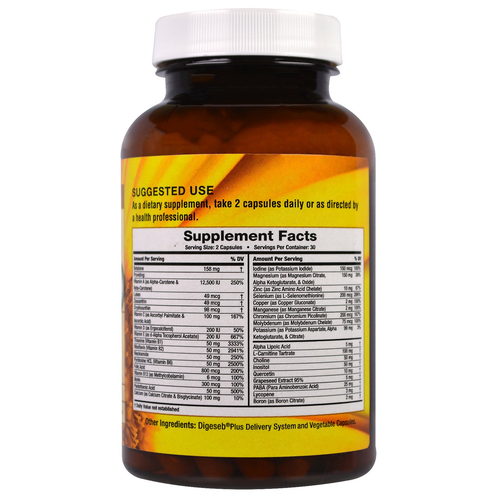 Pure Vegan, Advanced Vegan, 60 Vegetarian Capsules - Imagem 2