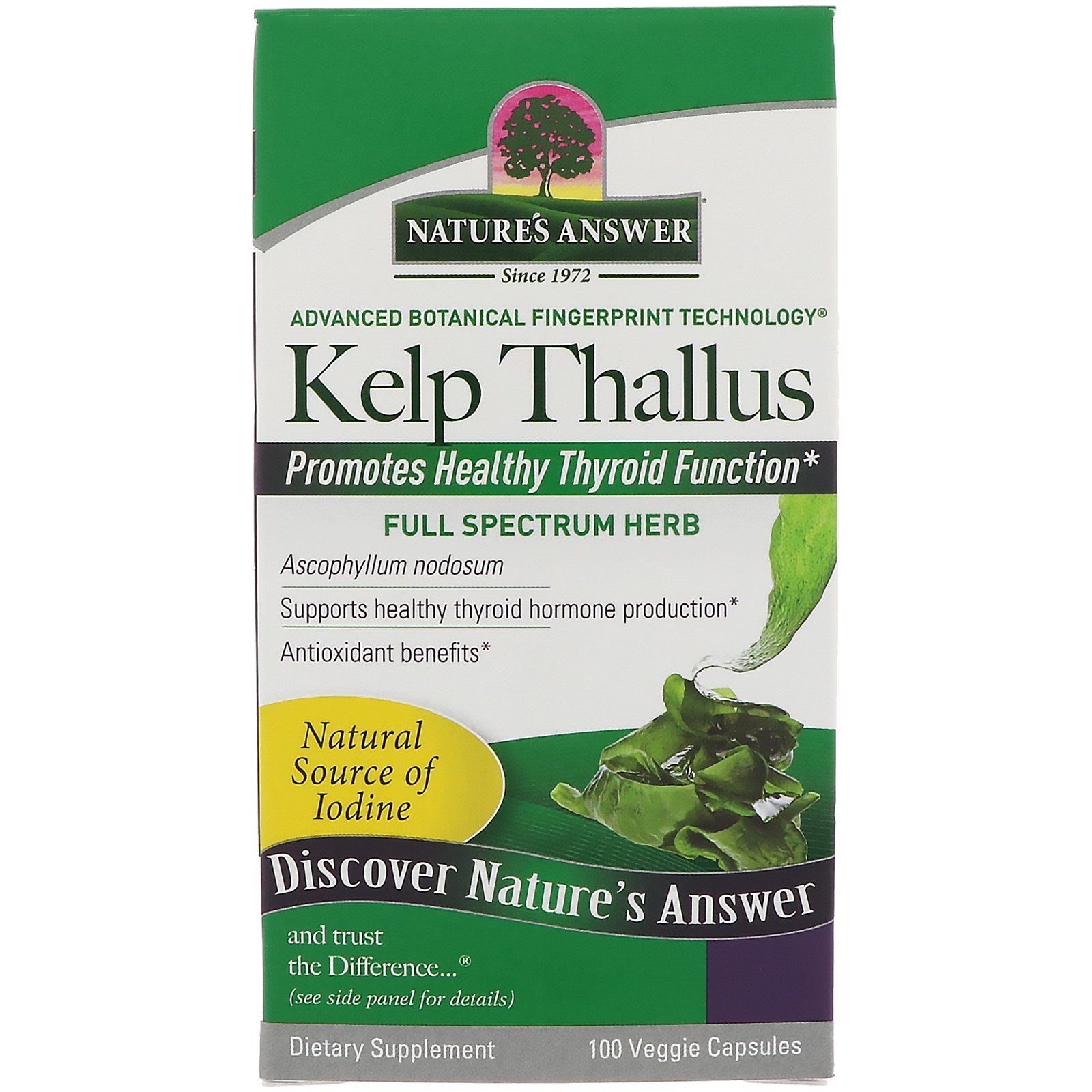 Nature's Answer, Alga Parda, 75 mg, 100 Cápsulas Vegetais