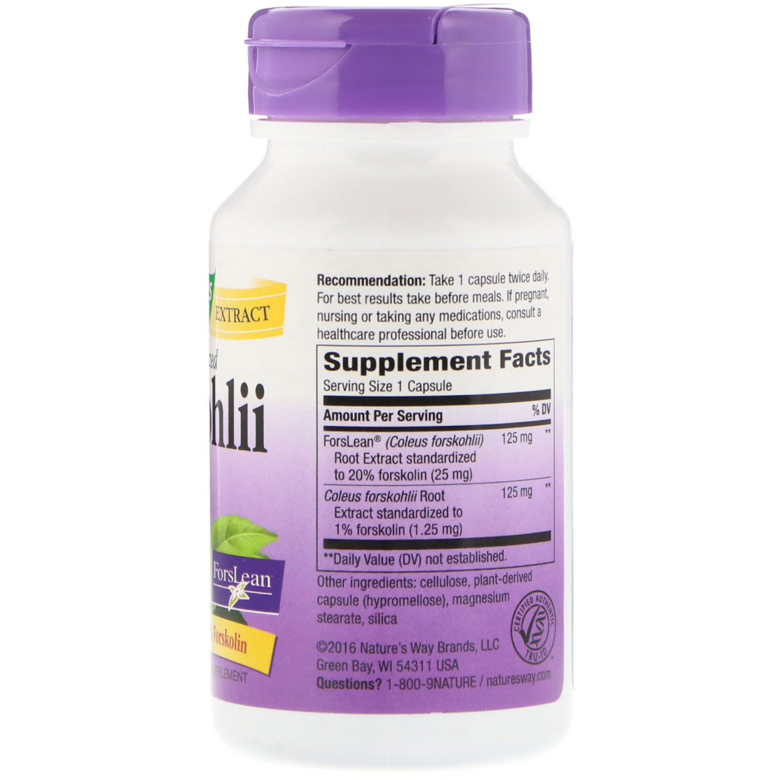 Nature's Way, Forskohlii, Standardized, 60 Veg. Capsules - Imagem 2