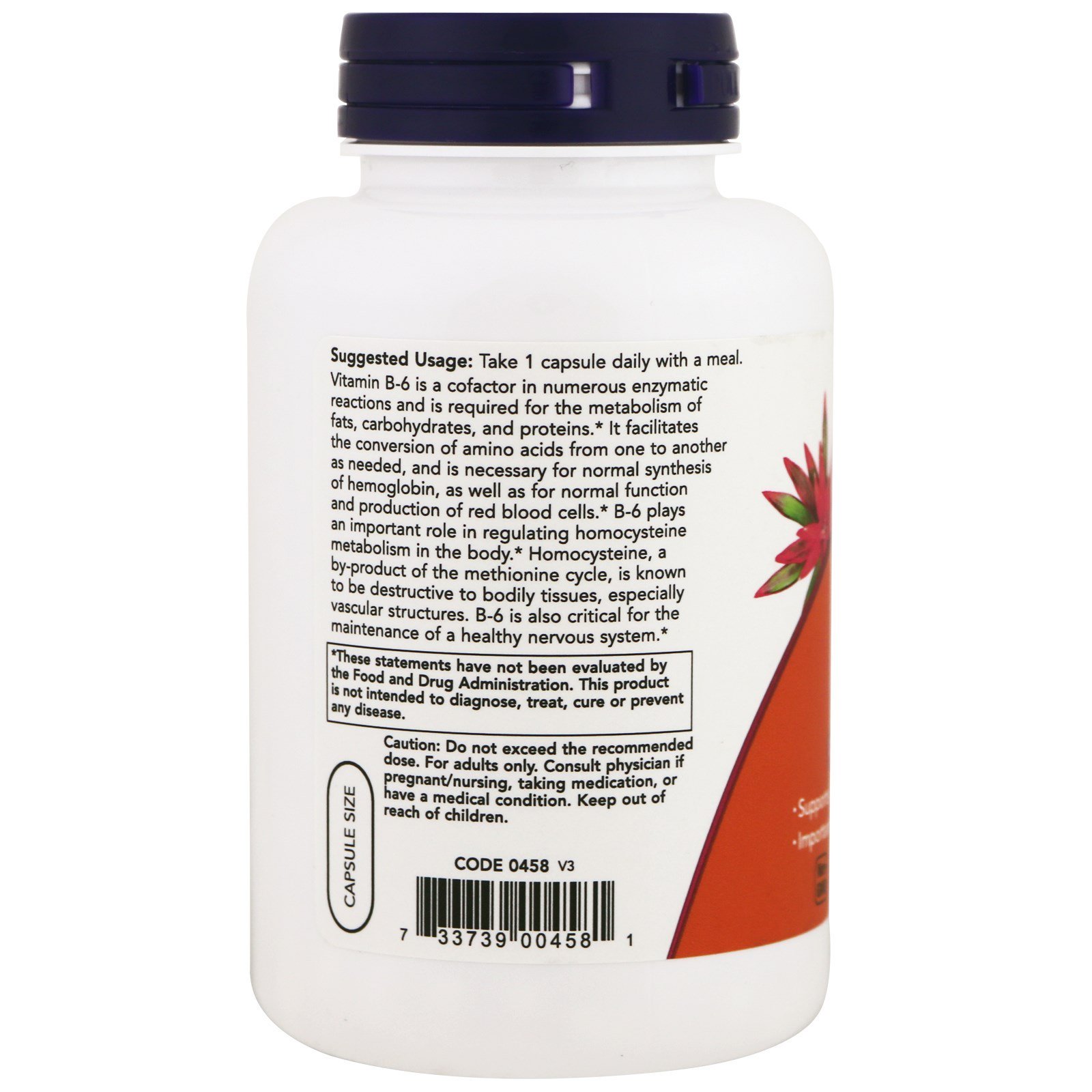 Now Foods, B-6, 100 mg, 250 Cápsulas - Imagem 3