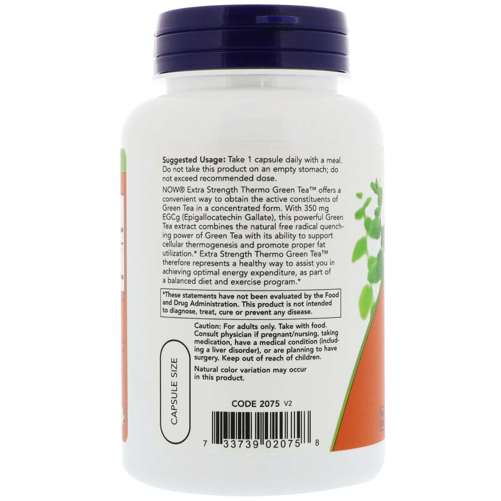 Now Foods, Thermo Chá Verde, 90 Cápsulas Vegetais - Imagem 3