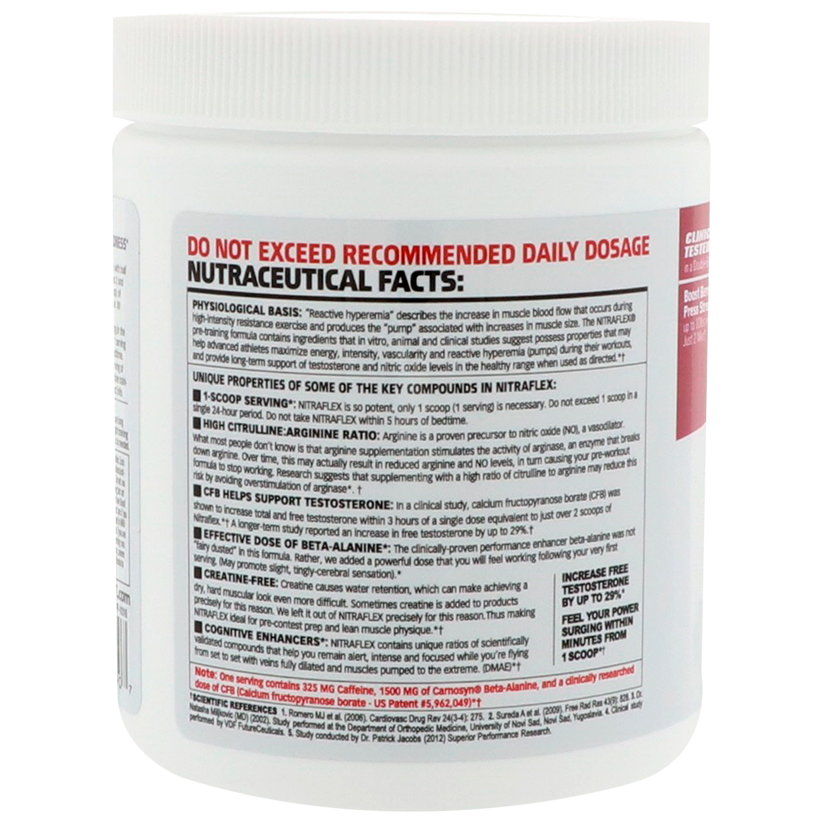 GAT, NITRAFLEX, Fruit Punch, 10.6 oz (300 g) - Imagem 3