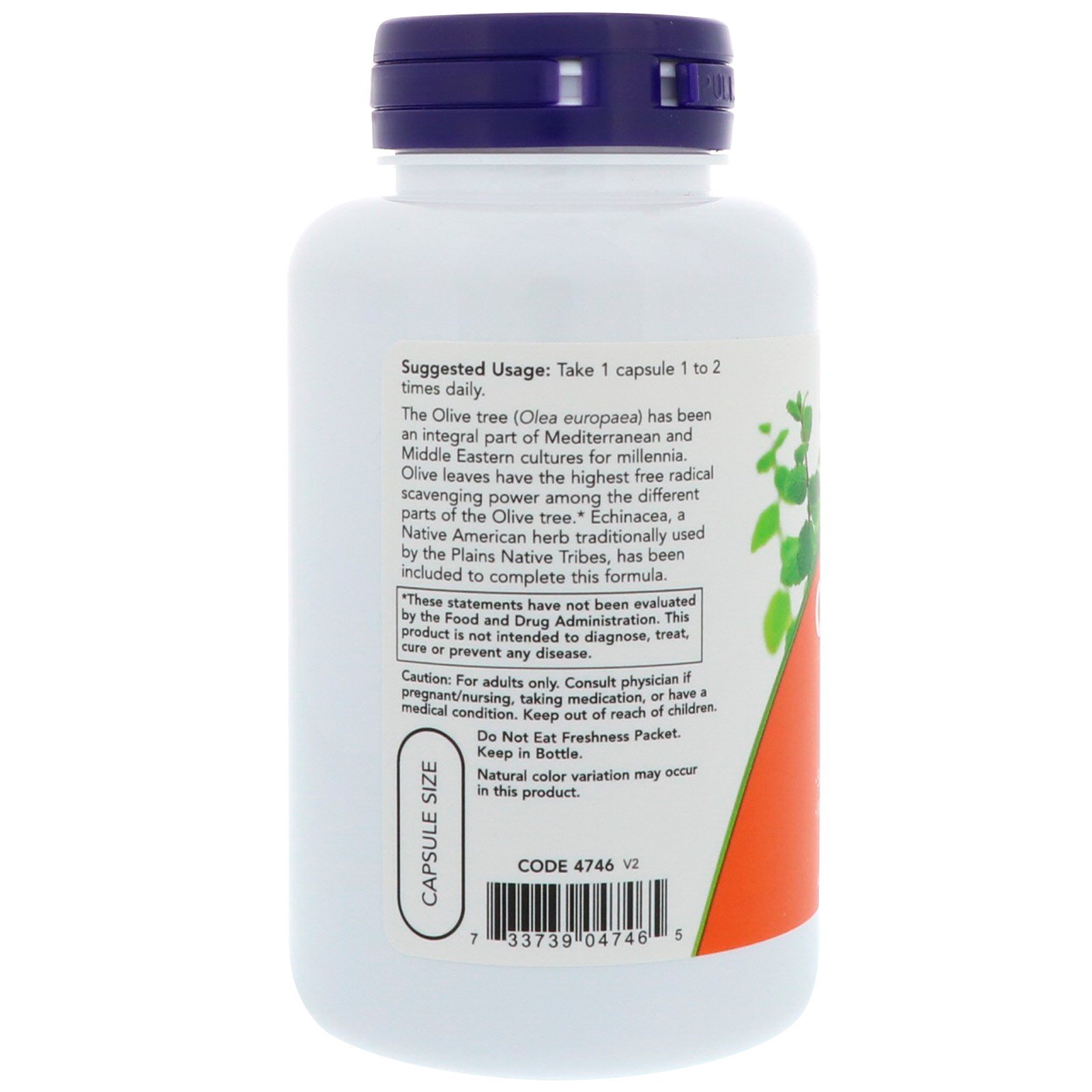 Now Foods, Extrato de Folha de Azeitona, 100 Cápsulas Vegetais - Imagem 3