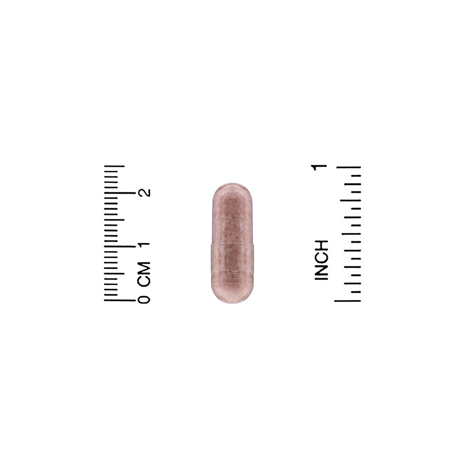 HealthyBiom, Probióticos de Oxicoco para Mulheres, 10 Bilhões de UFCs, 30 Cápsulas Vegetais - Imagem 3