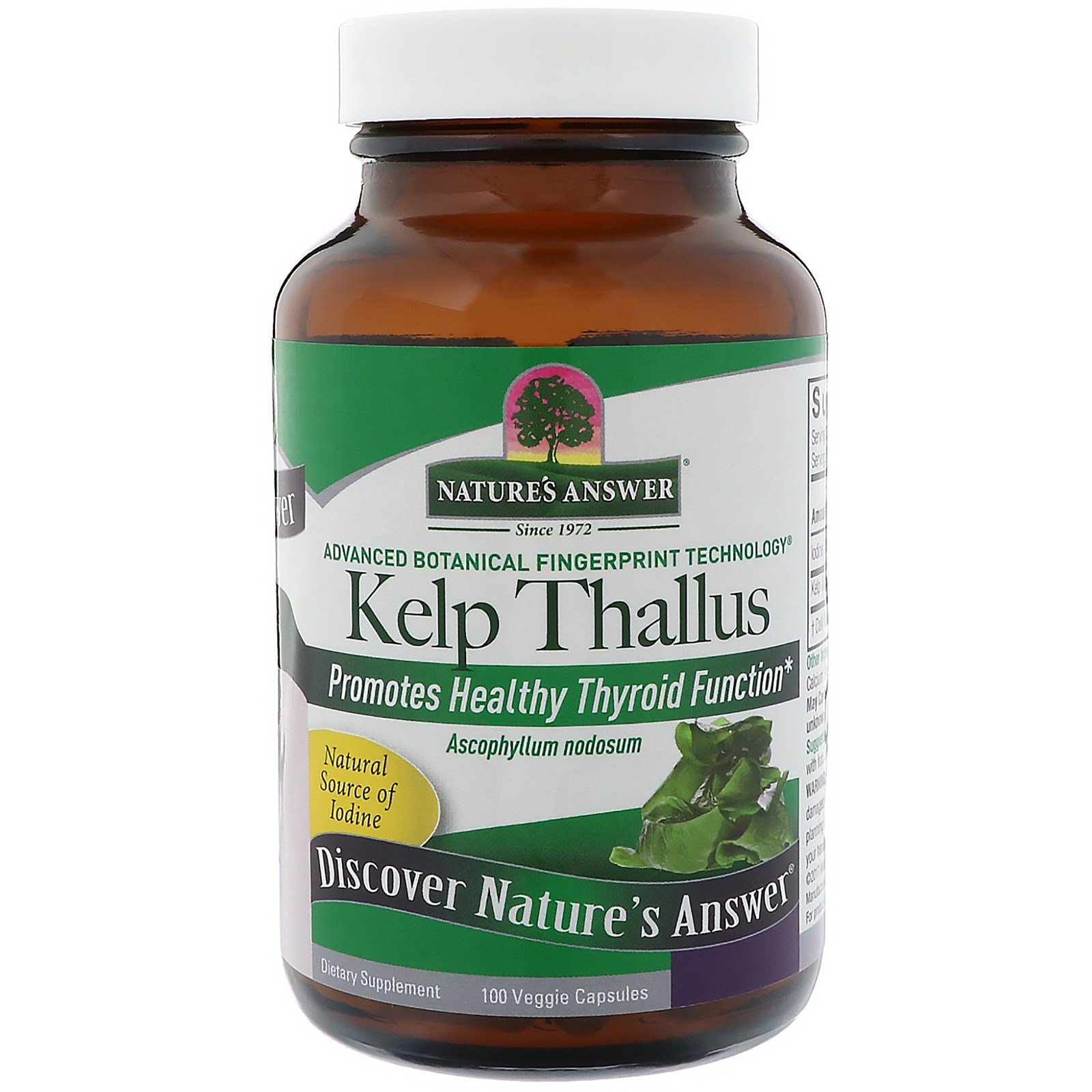 Nature's Answer, Alga Parda, 75 mg, 100 Cápsulas Vegetais - Imagem 3