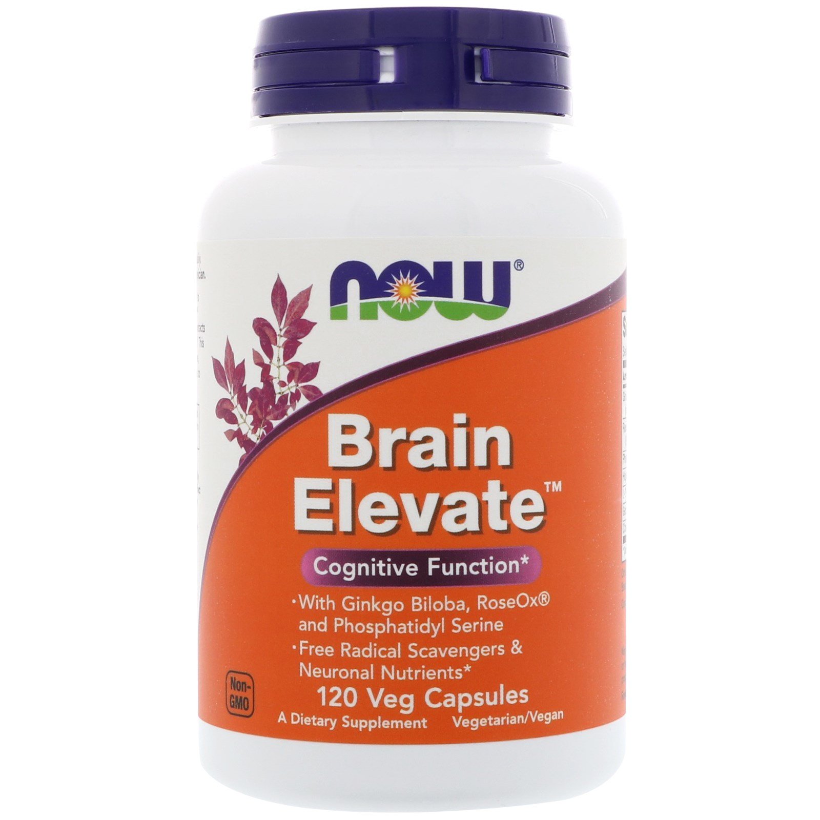 Now Foods, Brain Elevate, 120 Cápsulas Vegetais