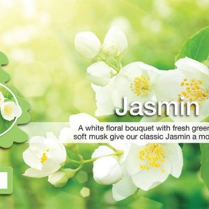 Comprar little trees air freshener, jasmin (pack of 6) preço no brasil suplementos mais baratos para a saúde suplemento importado loja 39 online promoção -