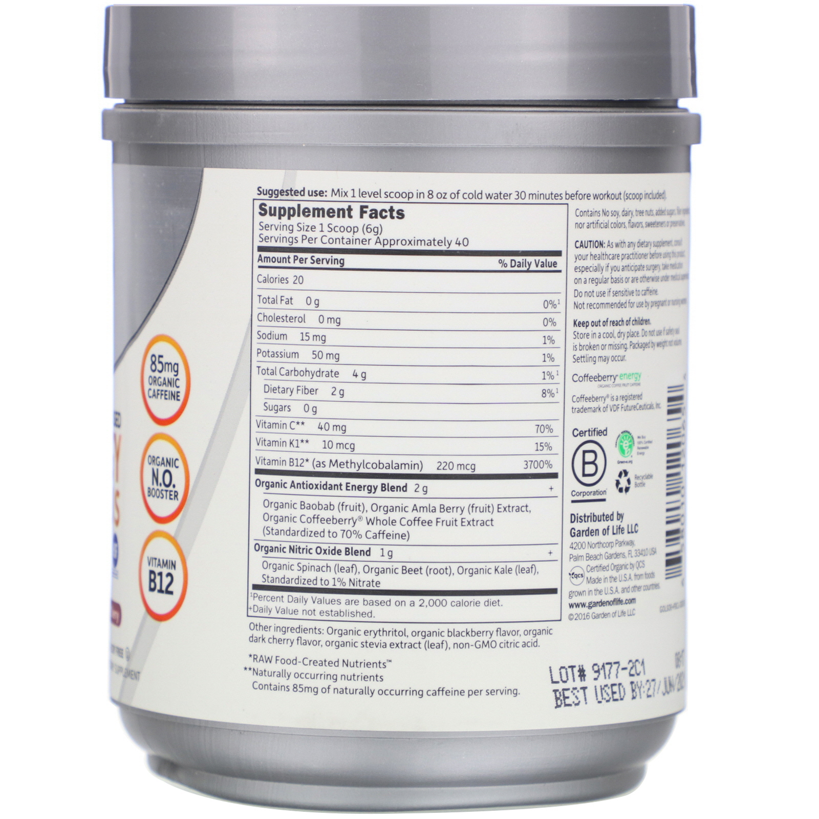 Garden of Life, Sport, Organic Plant-Based Energy + Focus, Pre-Workout, Blackberry Cherry, 8.1 oz (231 g) - Imagem 2