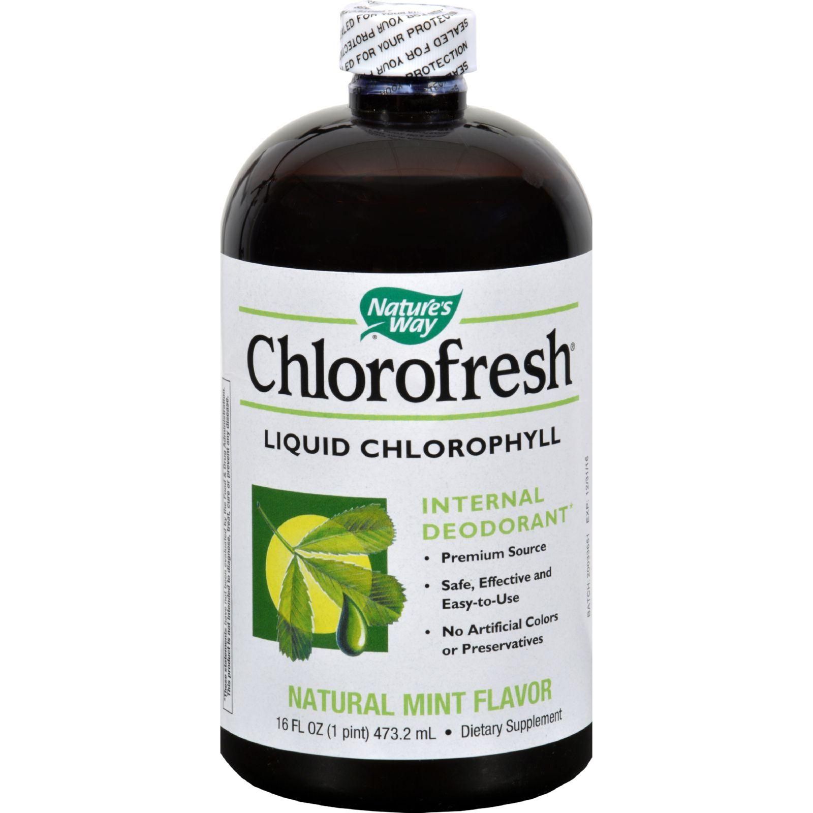 Nature's Way - Chlorofresh Liquid Chlorophyll Natural Mint - 16 Fl Oz