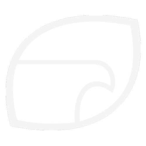 Eco-dent Toothpowder Daily Care - Anise - 2 Oz