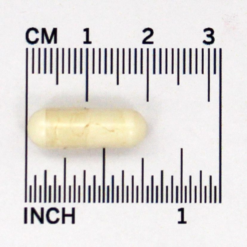 Suplemento Probiótico ao Suplemento Ideal ao Intestino 299V 10 Bilhões de UFC - Cápsulas vegetarianas 30 Jarrow Formulas - Imagem 5