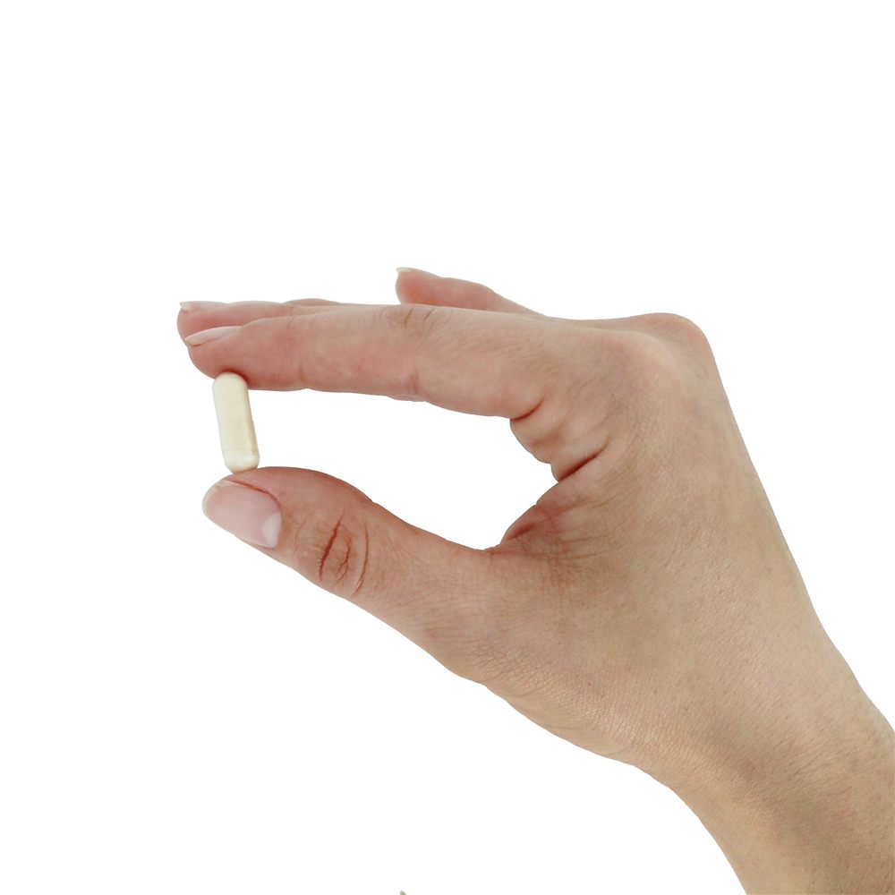 Suplemento Probiótico ao Suplemento Ideal ao Intestino 299V 10 Bilhões de UFC - Cápsulas vegetarianas 30 Jarrow Formulas - Imagem 6