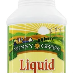 Comprar chlorophyll liquid wintergreen 100 mg. - 16. 2 fl. Oz. Sunny green preço no brasil clorofila suplementos nutricionais suplemento importado loja 269 online promoção -