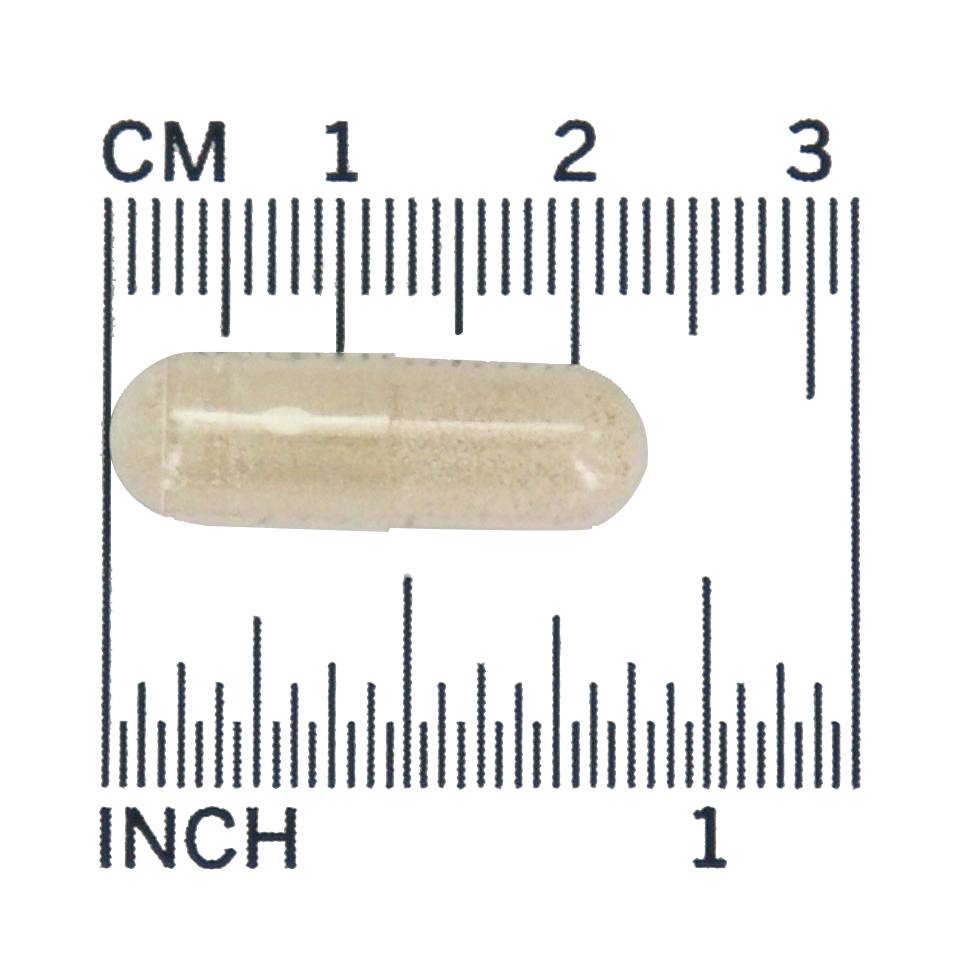 Saccharomyces Boulardii - 60 Cápsula (s) vegetal (s) NOW Foods - Imagem 4