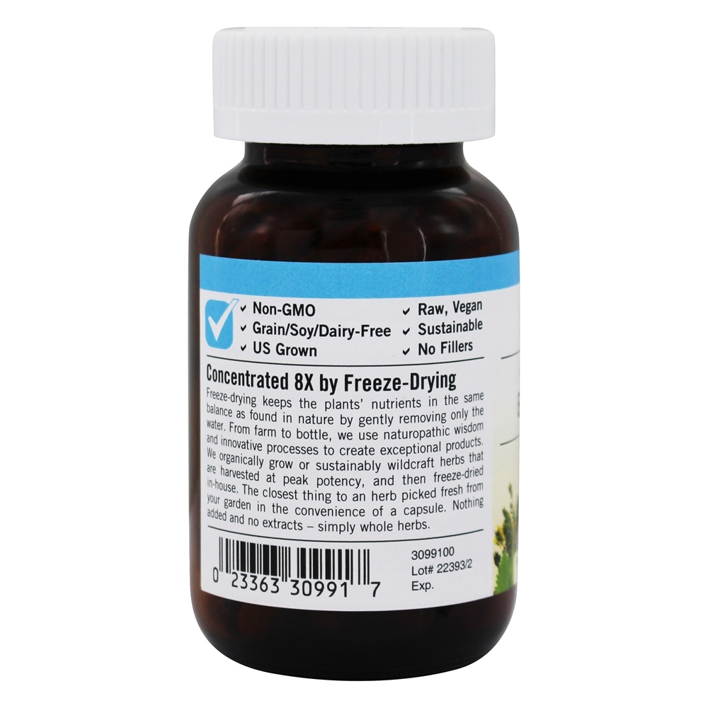 Suco de Beterraba Fresco Liofilizado 440 mg. - Cápsulas vegetarianas 90 Eclectic Institute - Imagem 3